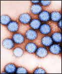 20110306-rotavirus cdc   disease_rotavirus2.jpg